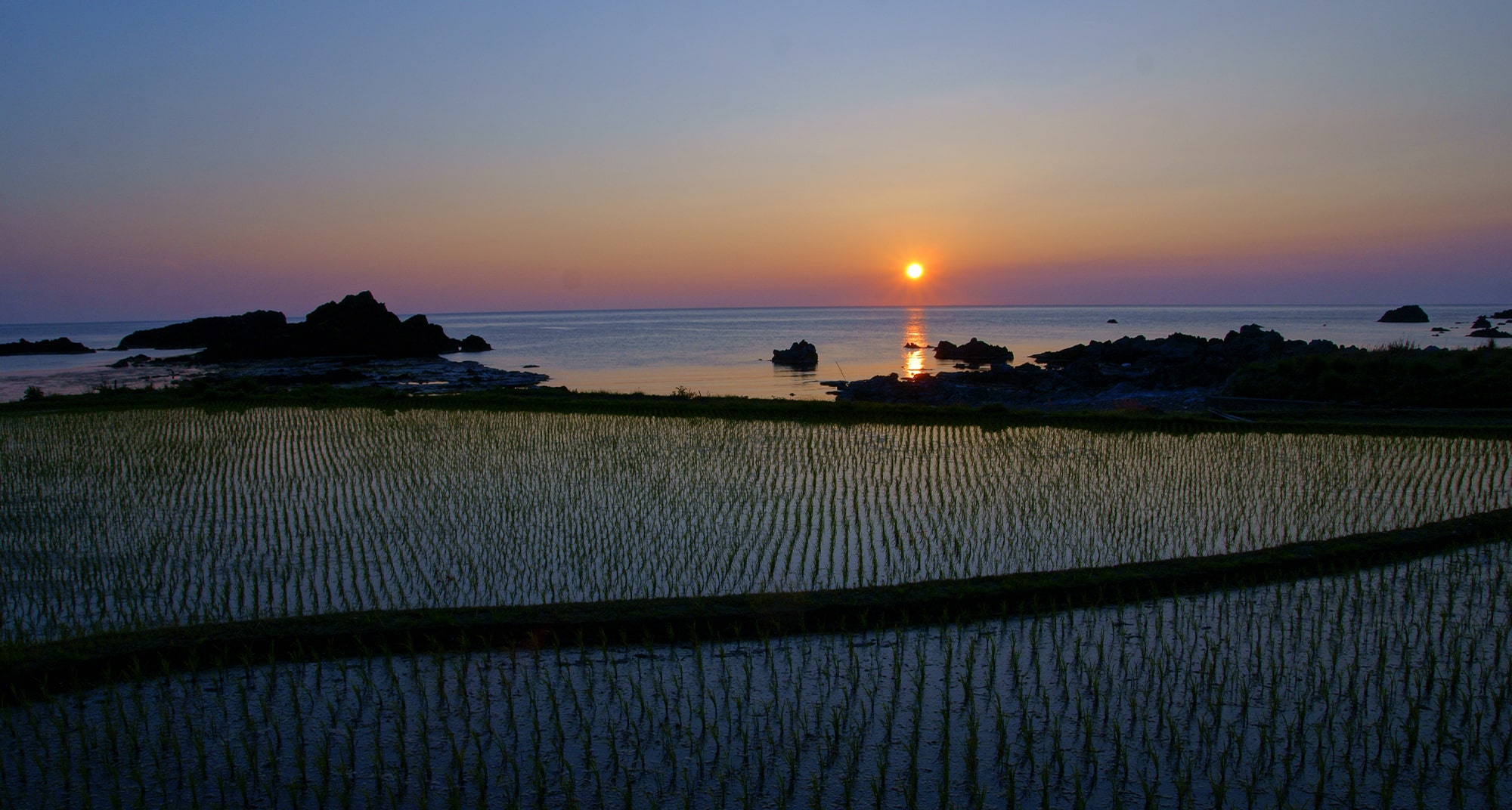 日本海に沈む夕陽と田んぼ