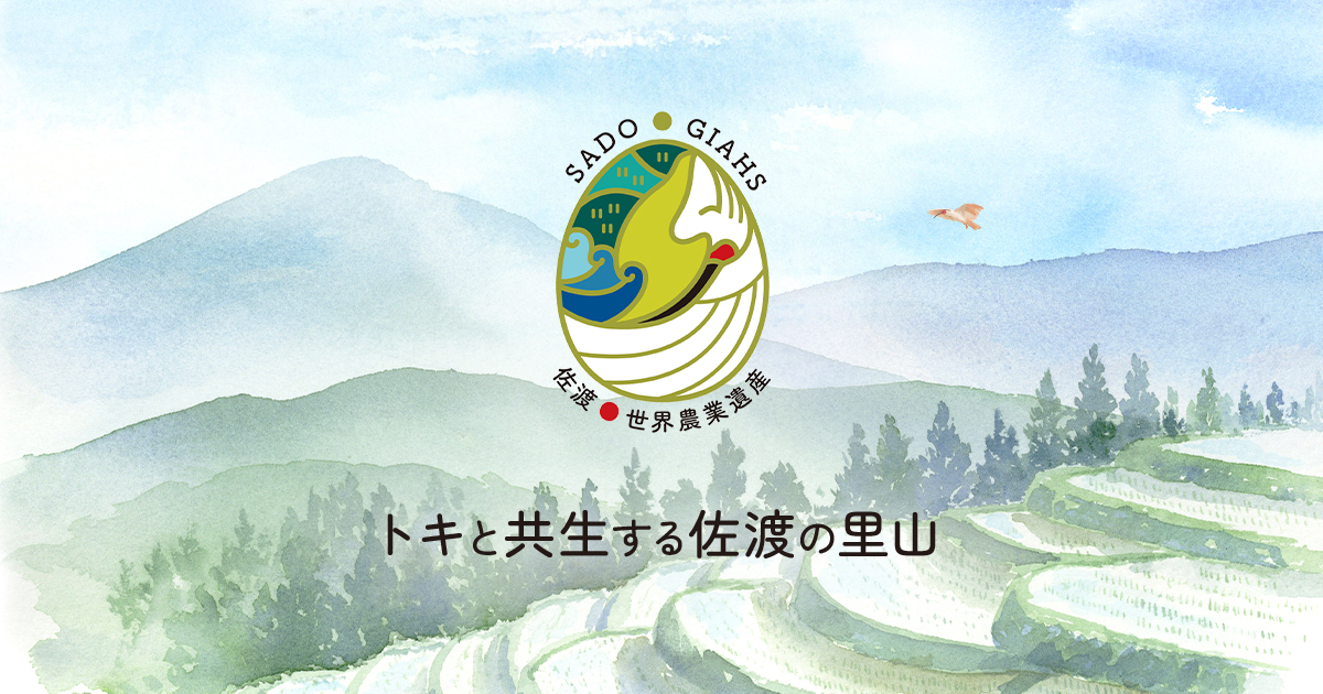 GIAHS認定10周年記念棚田カード」配布中です | トキと共生する佐渡の里山